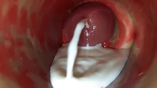 Sex Gay Porn 21
